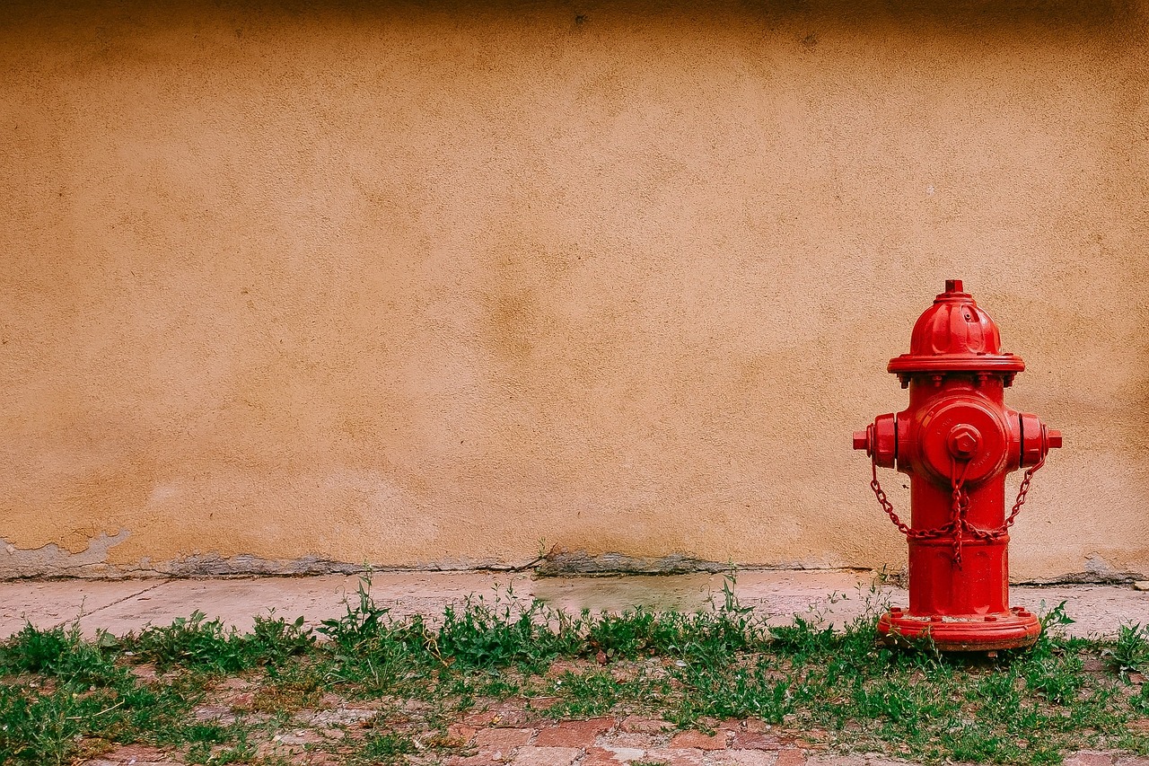 Jaką rolę pełnią hydranty?