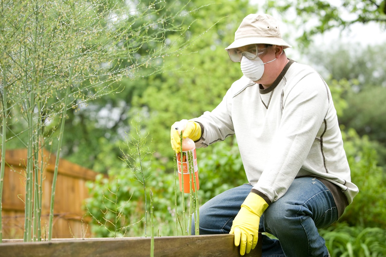 Jakie wyposażenie i akcesoria mogą ułatwić oraz uporządkować wszelkie prace ogrodowe?